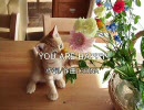 YOU ARE HAPPY （オリジナル 弾き語り）
