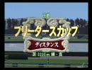 交流BC　＜あきすて杯＞　②　京都・芝3200ｍ（年齢フリー）