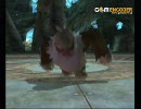@ムゲンのバトレボ対戦動画19【偽ポル再び】