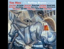 Tim Ries - Wild Horses