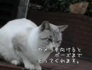 こんなステキな広島が。vol.3