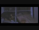 【CALLING～黒き着信～】恐くないように楽しく実況プレイpart17