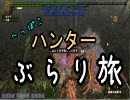 【MHF】　へっぽこハンターぶらり旅　第３０回