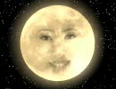 ハラハラ