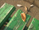 写真散歩の道　パート１