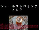 マイナーかつクソゲー【Welcome House】を何故か２人で実況プレイPart4