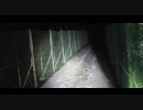 心霊　秩父湖(埼玉県) 2010.02.22 吊り橋B地点その３
