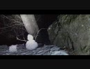 心霊　秩父湖(埼玉県) 2010.02.22 吊り橋A地点その２
