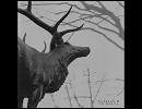 Agalloch - I Am the Wooden Doors