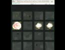 【jubeat ripples】A Dance & A Beer(EXT) 花マーカー
