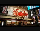 【今更】まるかいて大阪【歌ってみた】