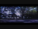 簀巻き　6