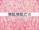 描いて×無駄無駄欲★ナイトフィーバー×歌った