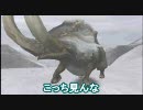 【MHP2G】ガンスで頑張ってみる 02【ガンス】