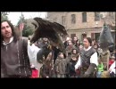 鷹の団がやって来た【Falconeria】