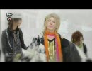 DaizyStripper - 春めく僕ら