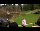 幼女の頭をワシミミズクがかすめて飛ぶ