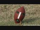 The Annoying Orange 6 Super Bowl Football