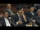 2010/3/23参院予算委員会・佐藤　正久（自由民主党・改革クラブ）