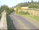 イギリスの困ったちゃん達：4