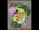 タワレコの片隅で何を叫ぶ / 狐火 kitunebi (カエル先生remix) 