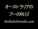 サーフィンがどううまくなるか？　Part53