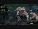 【MHP2G】ガンスで頑張ってみる 04【ガンス】