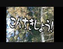 ホネットさん岡山に行くPart11【車載動画】蒜山～鳥取犬挟峠編