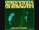 Spirogyra - Parallel Lines Never Seperate