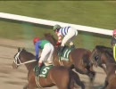 【競馬】 2009 マーチステークス エスポワールシチー 【ちょっと盛り】