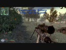 【CoD:MW2】FPS上級者目指してPC版NiCoD後夜祭【DOM:Wasteland】
