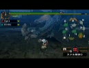 【MHP2G】片手剣始めました。5【ニャンニャン動画(棒)】