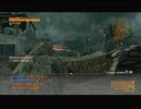 初心者を名乗るやつがMGO 番外編(お願い編)