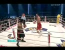 IBF/WBO ヘビー級タイトルマッチ　クリチコ（弟）VSチェンバース　10R　8/9