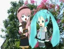 WHERE HAVE ALL THE FLOWERS GONE 初音ミク＋巡音ルカ