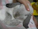 膝だっこでナデナデ