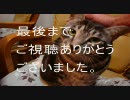 【モトヲ】意識普通に実況MGO Part9