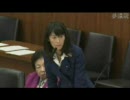 3.18 参議院 厚生労働委員会 丸川珠代議員