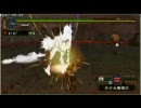 MHP2　へたれハンターの狩猟日誌～幻獣祭part4～