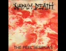 NAPALM DEATH-THE PEEL SESSIONS(Deceiver/Lucid Fairytale/In Extremis)