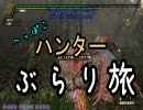 【MHF】　へっぽこハンターぶらり旅　第３１回