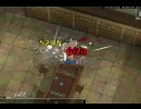 【RO】盾パラの挑戦　「その９」