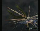 誰も実況プレイしなさそうなエターナルアルカディア(GC版)実況 Part.51