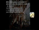 理解できる人が幻想入り　第十一話