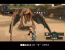 教官と ピアスと ワタシ *ＭＨＰ２Ｇ* 実況 *クック vs 大剣* その２