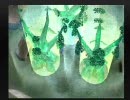 実況初心者がレガイア伝説を初プレイ実況part50