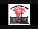 The Velvet  Underground 「Loaded」