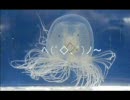 クラゲ動画集