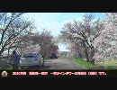 【HD720p】 ポルテで一宮タワー桜並木を走ってきました。