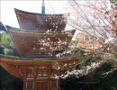 【そうだ奈良へ行こう】長弓寺、霊山寺etcさんぽ